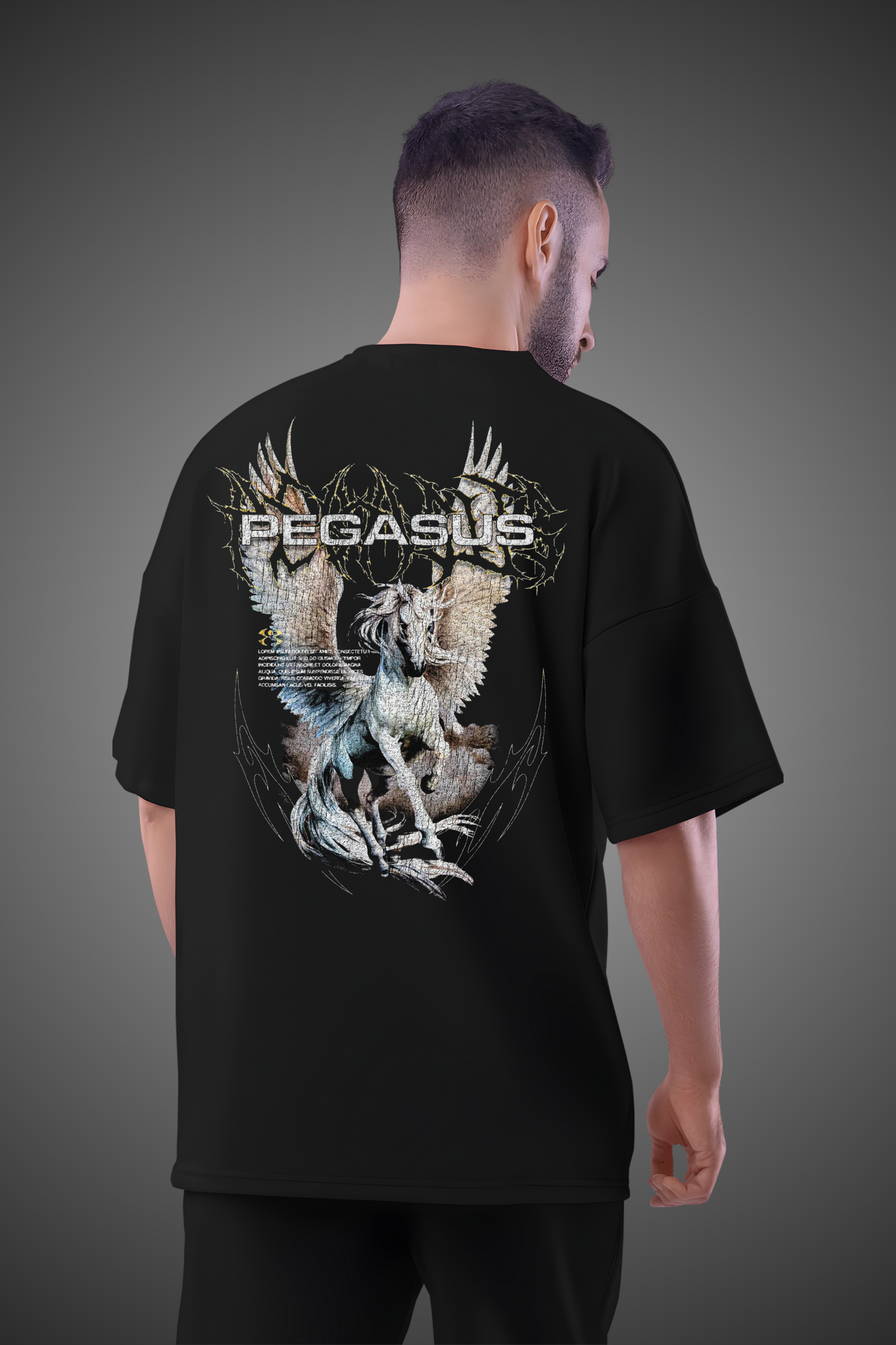 PEGASUS HEAVEN OVERSIZED TSHIRT
